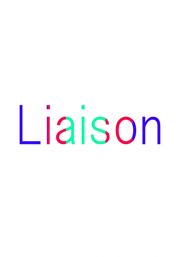 Collaborative Work: Liaison
