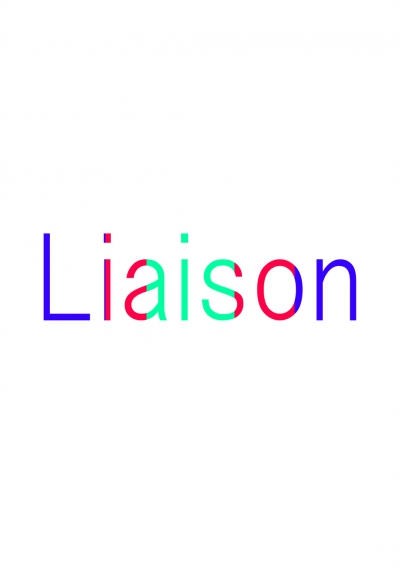 Collaborative Work: Liaison